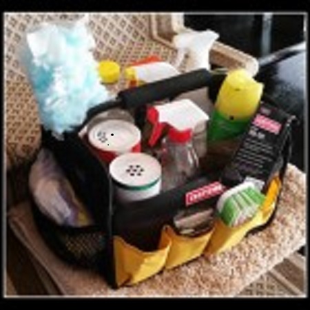 Tool Caddy Turned Cleaning Caddy…What a Good Idea