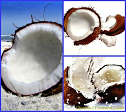 Coconuts PicMonkey Collage