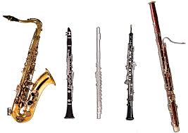 Woodwind and Brasswind Pictures