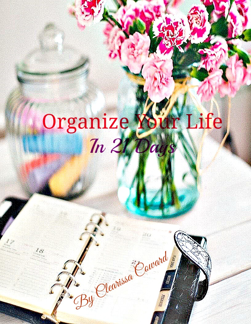 I Can Show You How To Organize Your Life in 21-Days