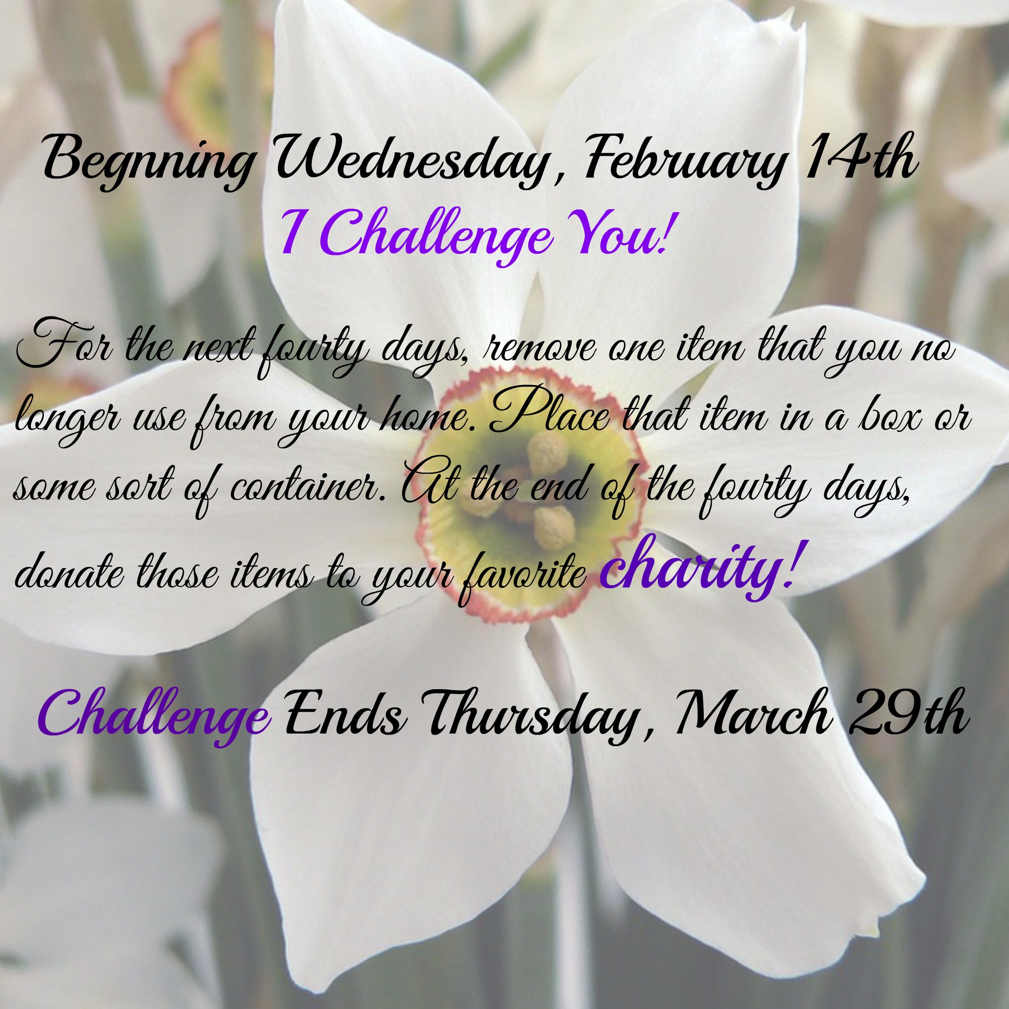 Clearissa Coward's Command Center