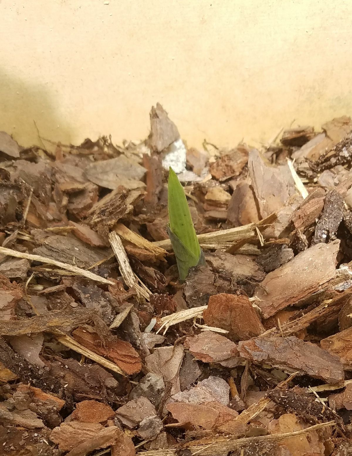 Clearissa Coward's Command Center