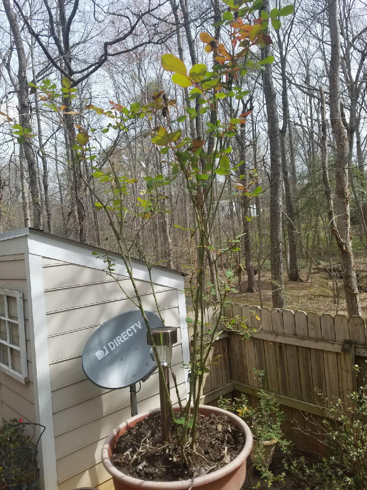 Clearissa Coward's Command Center