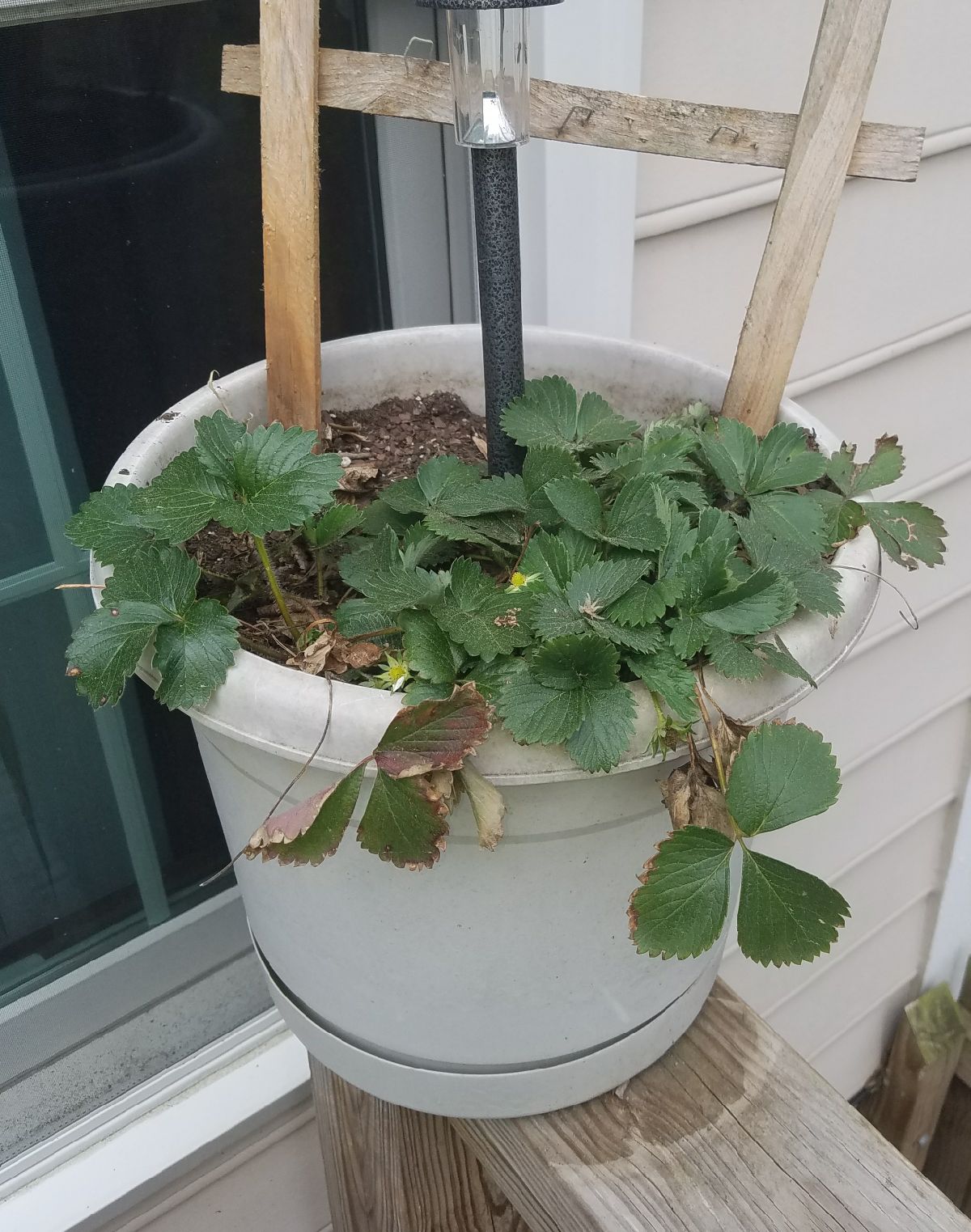 Clearissa Coward's Command Center