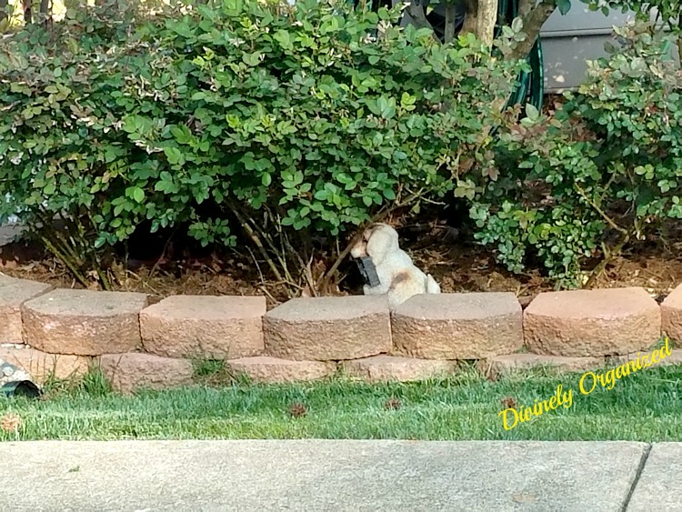 Clearissa Coward's Command Center