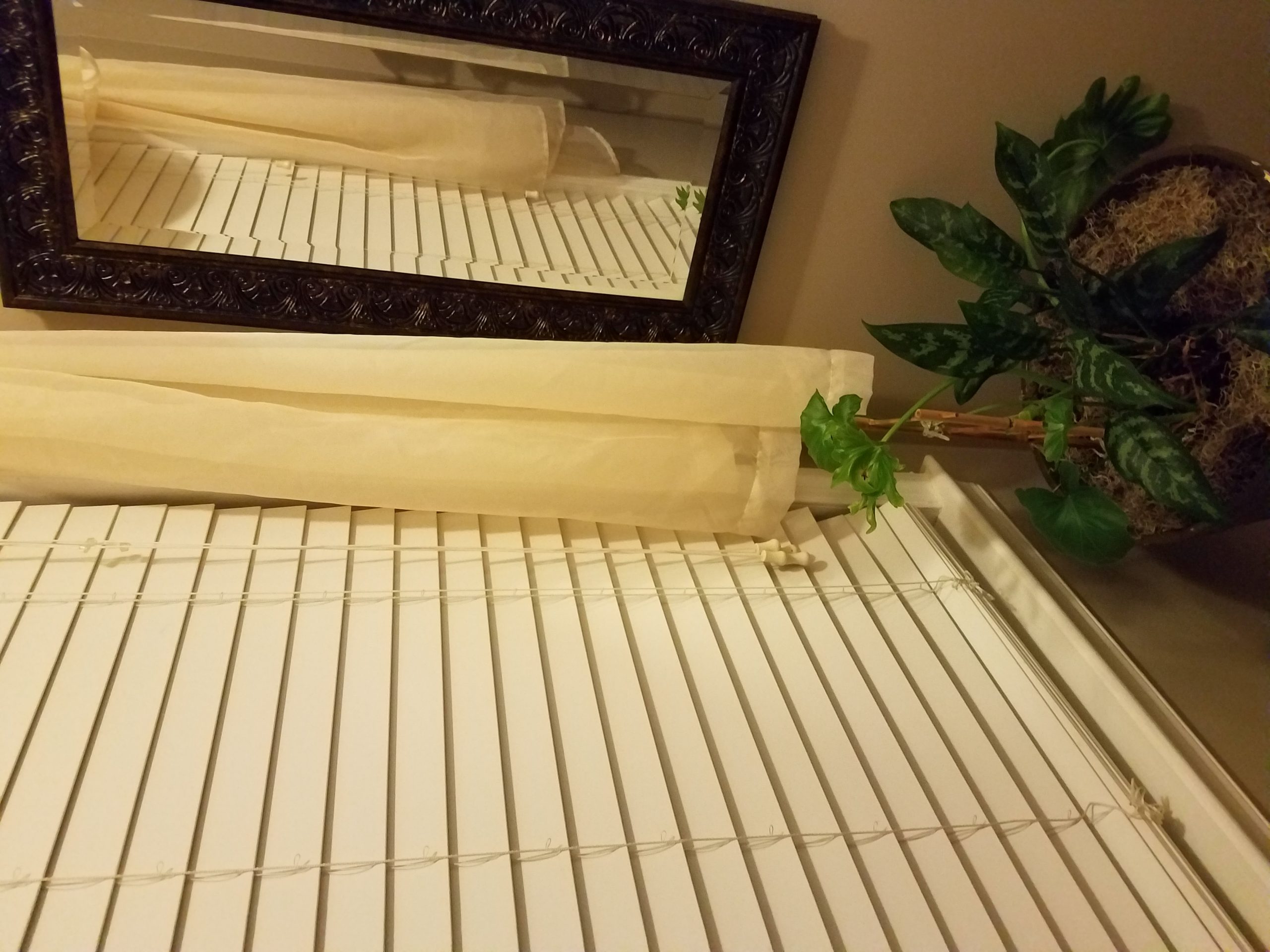 Clearissa Coward's Command Center