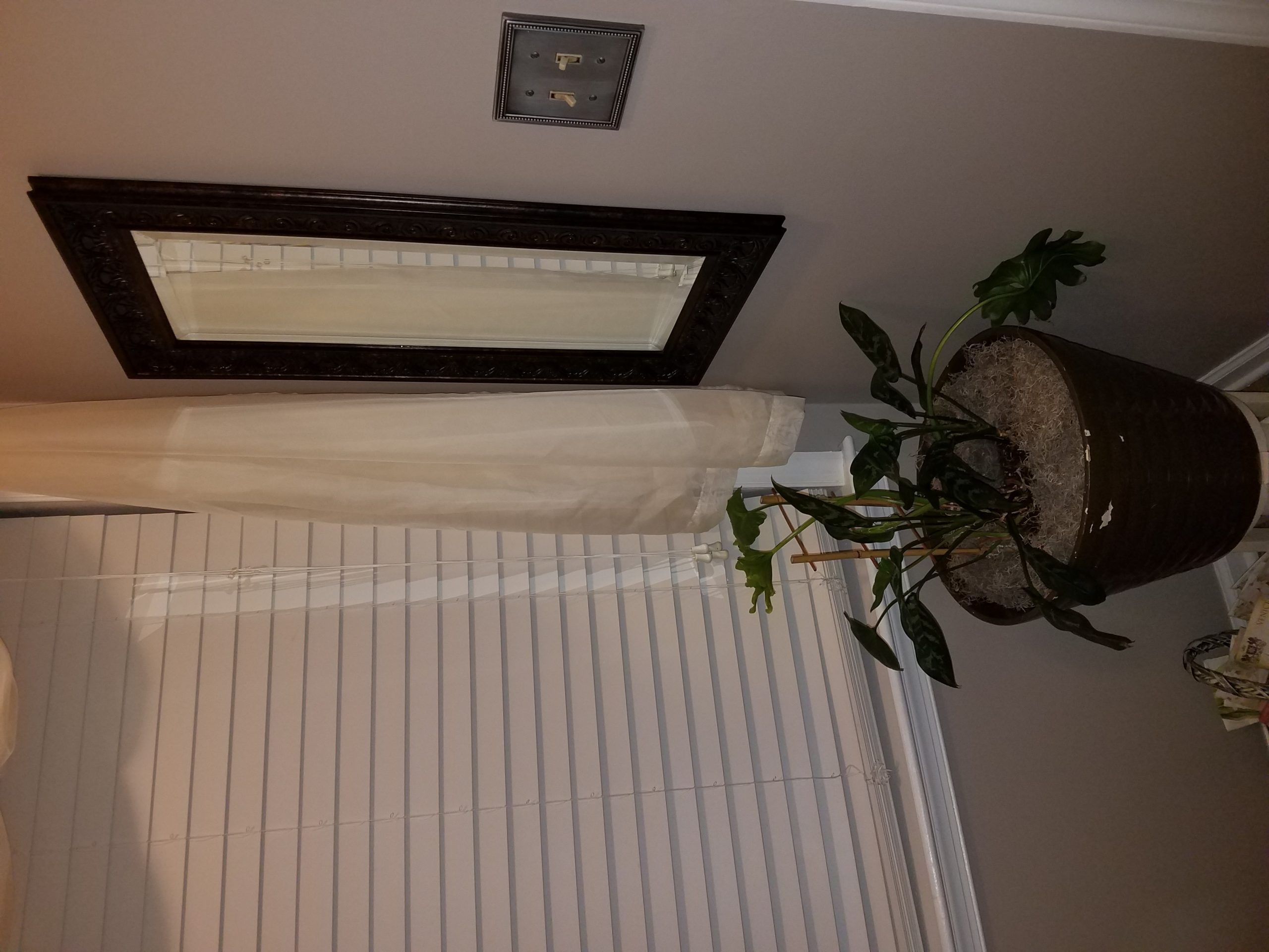 Clearissa Coward's Command Center