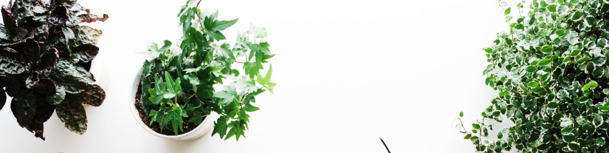 Clearissa Coward's Command Center