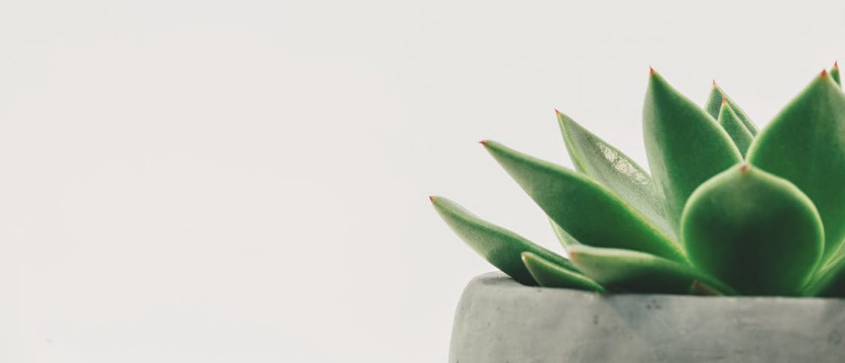 Clearissa Coward's Command Center