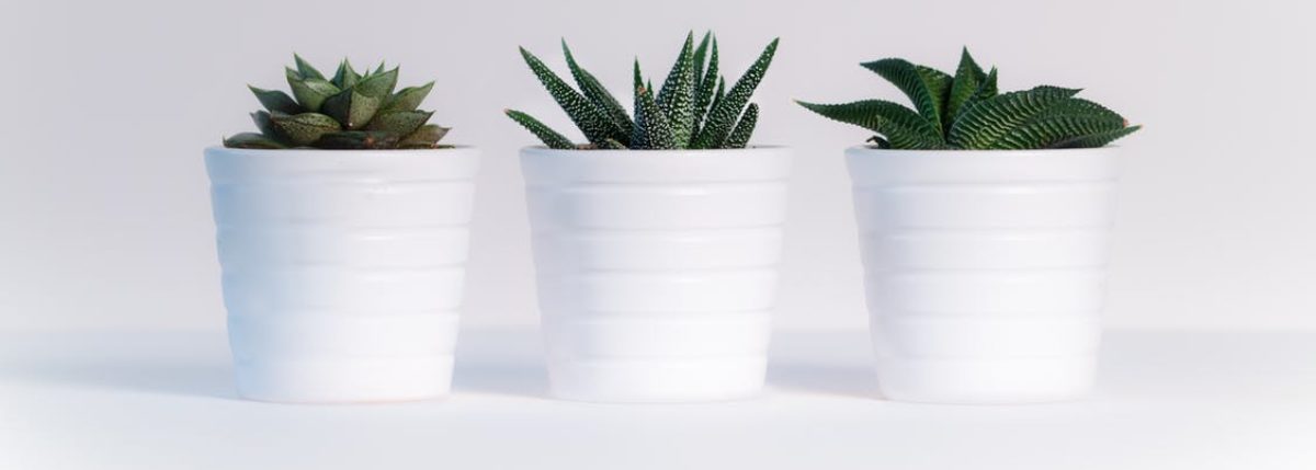 Clearissa Coward's Command Center