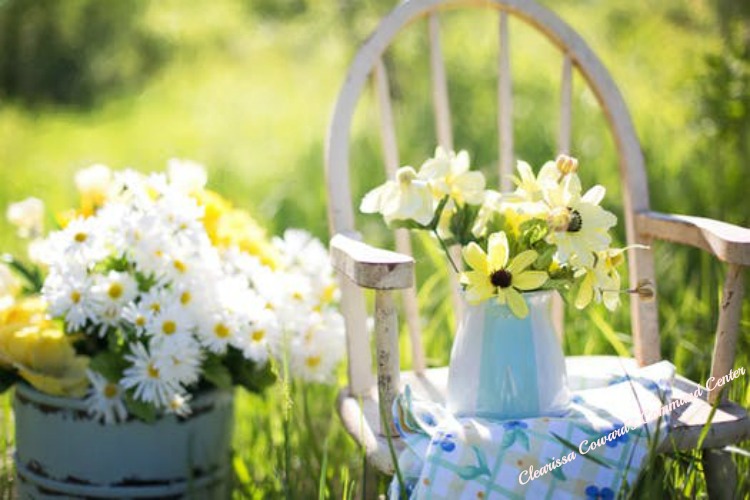 7 Tips For  Maintaining A Lush Spring-Like Garden All Summer
