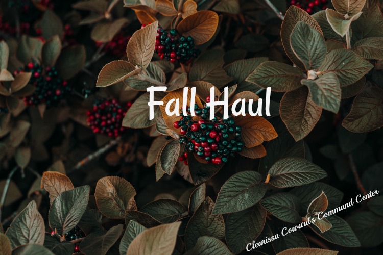 Fall Haul