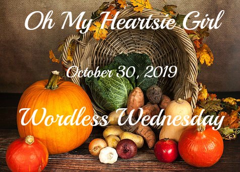 Oh My Heartsie Girls Wordless Wednesday – October 30