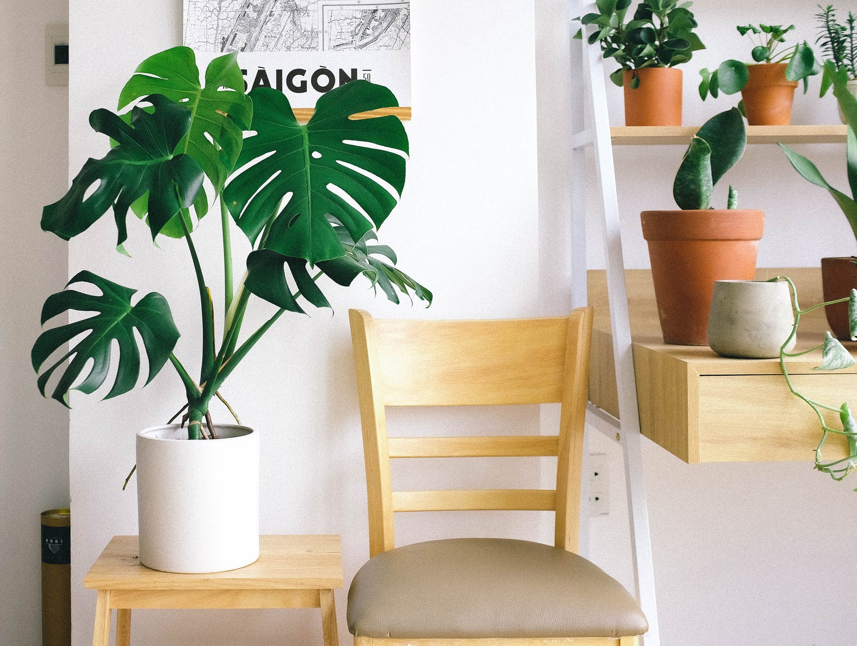 Make Your Rental Space Your Own With These Simple Decorating Tips