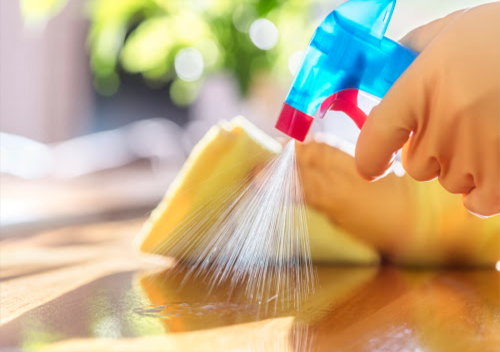 Natural versus Store Bought Disinfectants