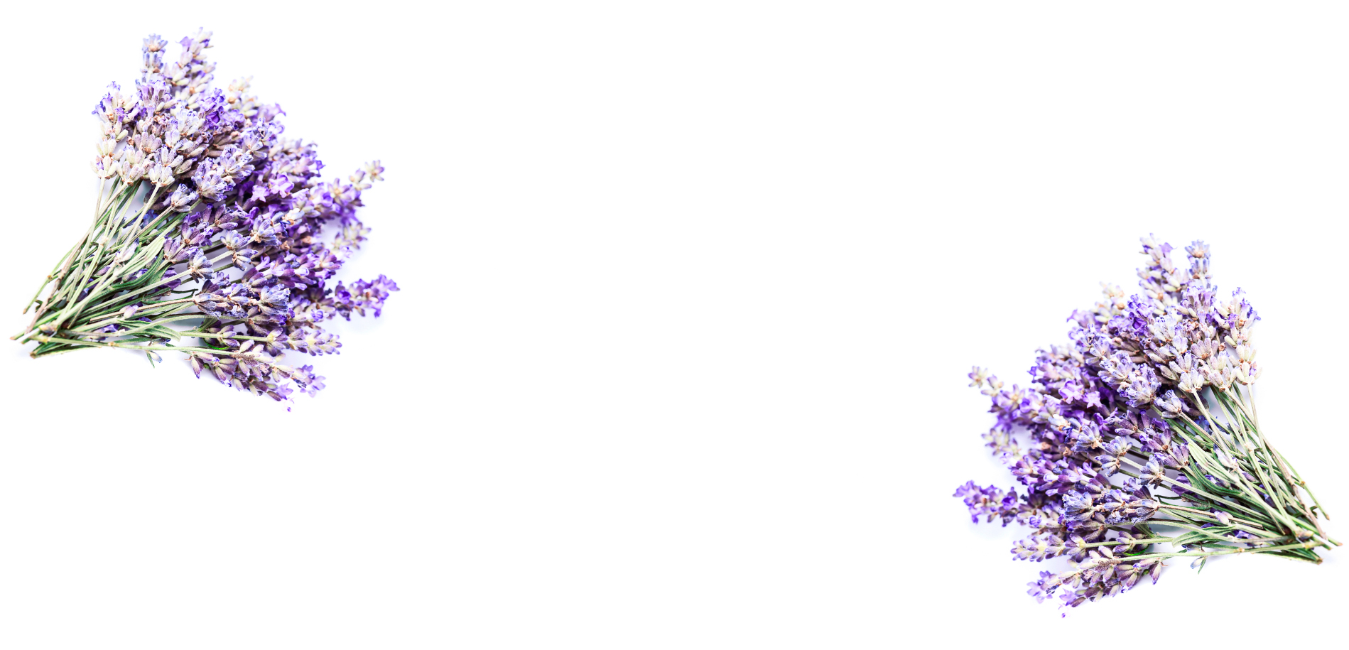 Clearissa Coward's Command Center