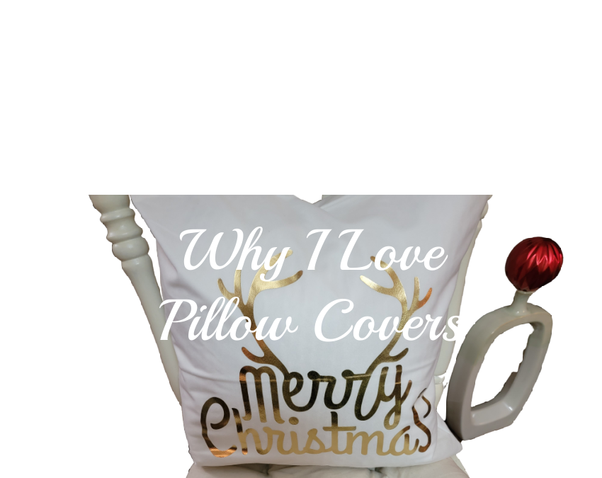 Why I Love Pillow Covers And You Should Too