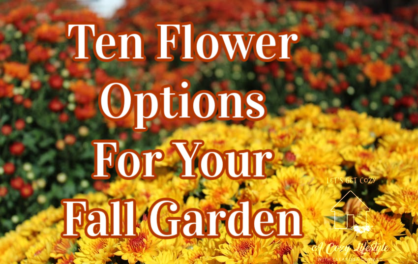 Ten Flower Options For Your Fall Garden