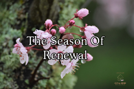 Welcoming The Season Of Renewal
